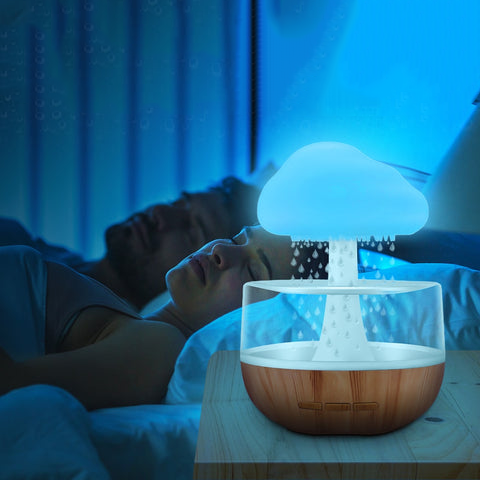 The Rain Cloud Humidifier