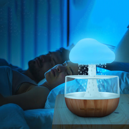 The Rain Cloud Humidifier