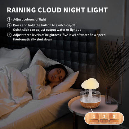 The Rain Cloud Humidifier