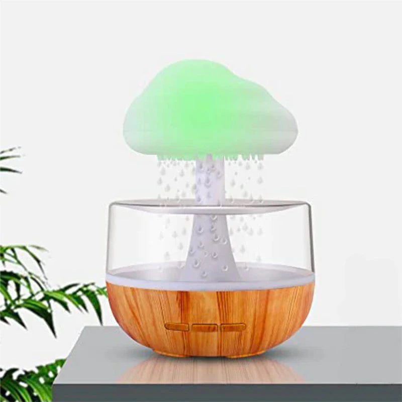 The Rain Cloud Humidifier