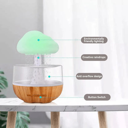 The Rain Cloud Humidifier