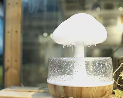 The Rain Cloud Humidifier